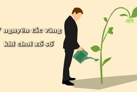 Những điều đặc biệt xsmn chắc chắn bạn chưa biết