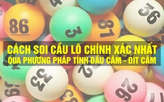 thông tin cơ bản và bí quyết nuôi lô đề với các đầu lô câm hay về